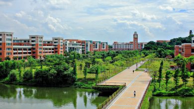 Sun Yat-Sen University CSC Scholarship
