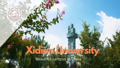 xidian university csc scholarship